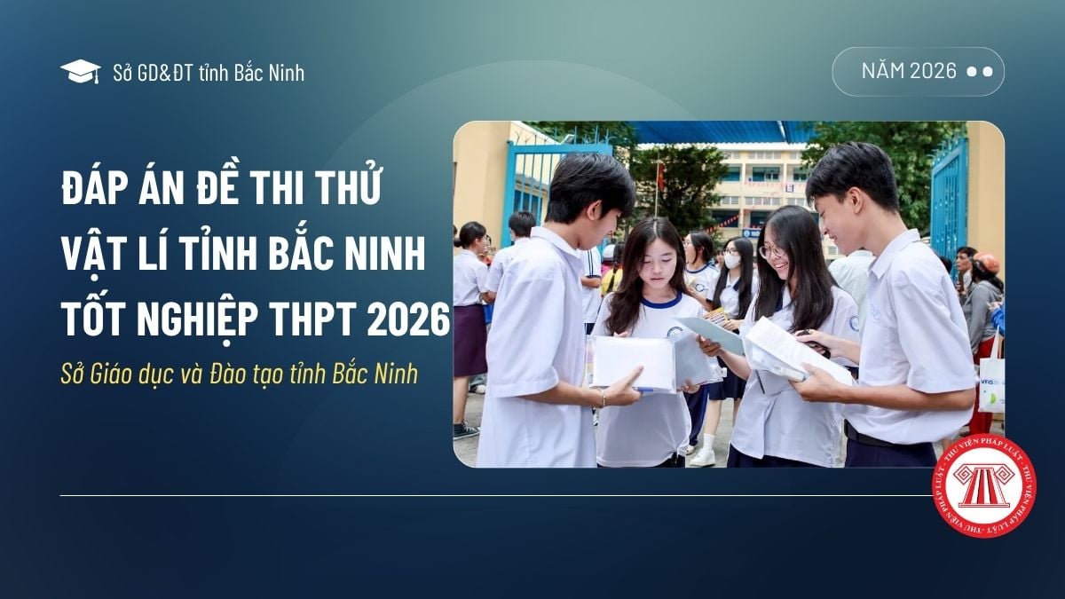 Pháp luật