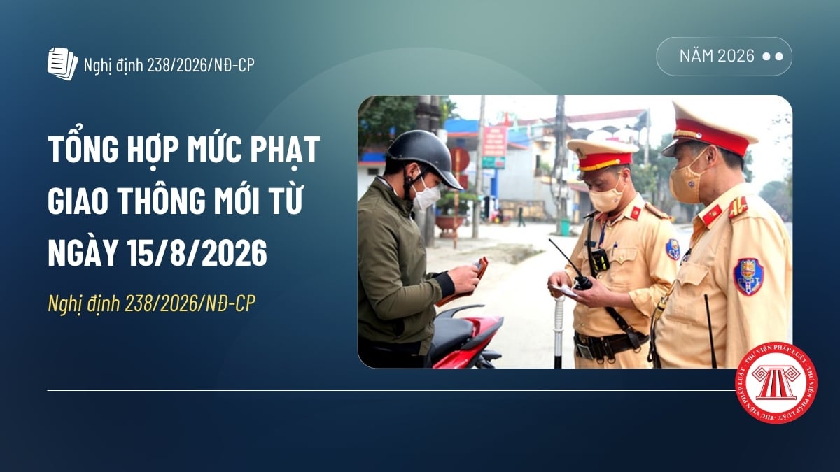 Pháp luật