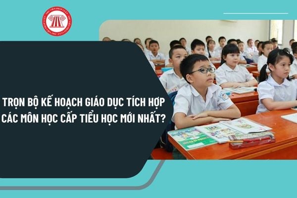 Pháp luật
