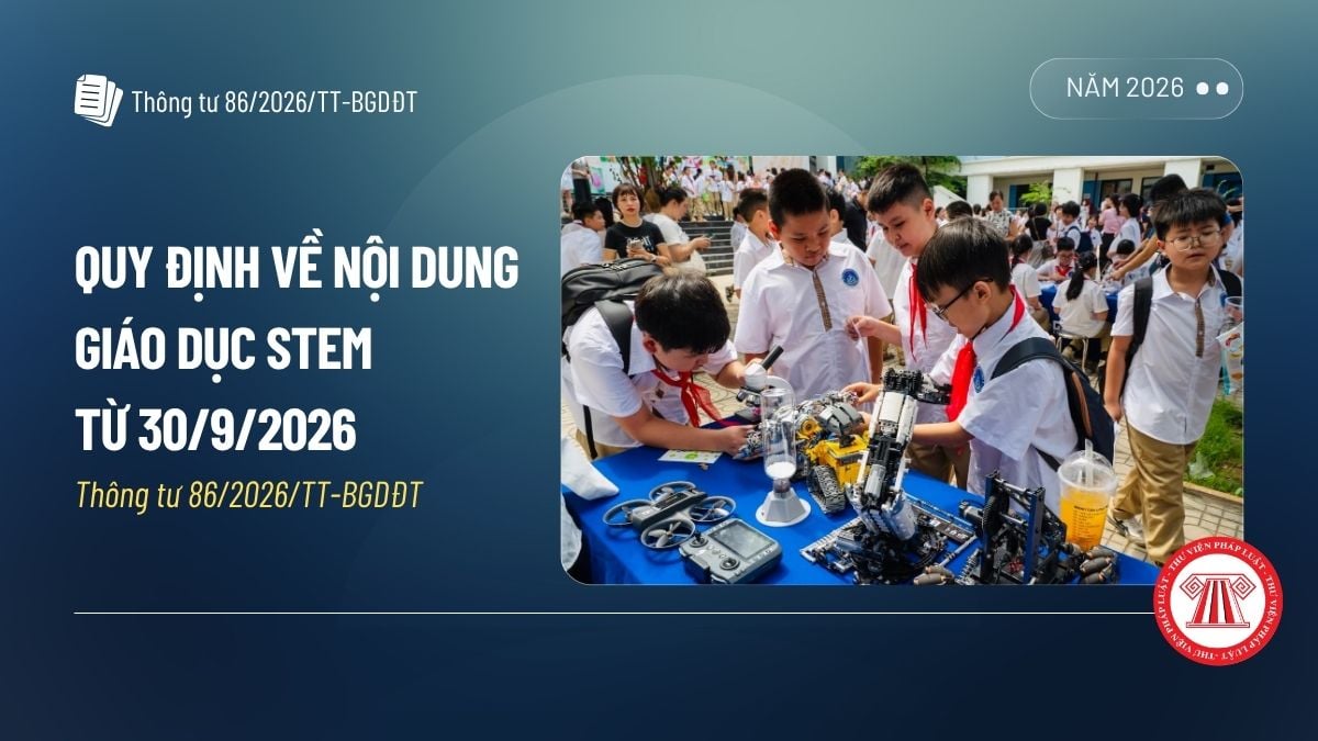 Pháp luật