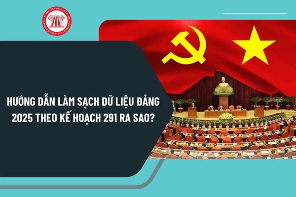 Pháp luật