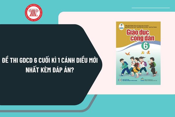 Pháp luật