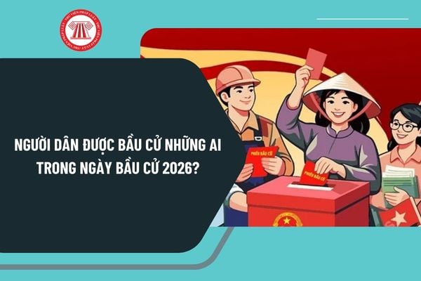 Pháp luật