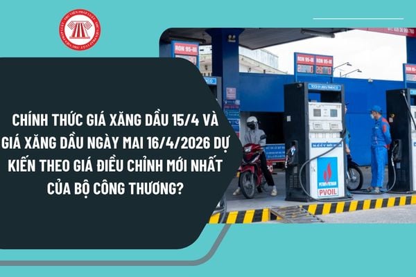 Pháp luật