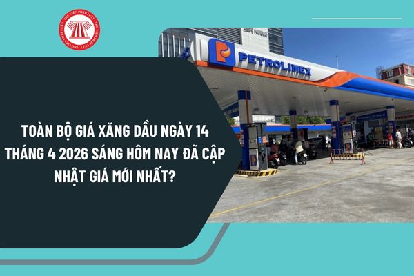 Pháp luật