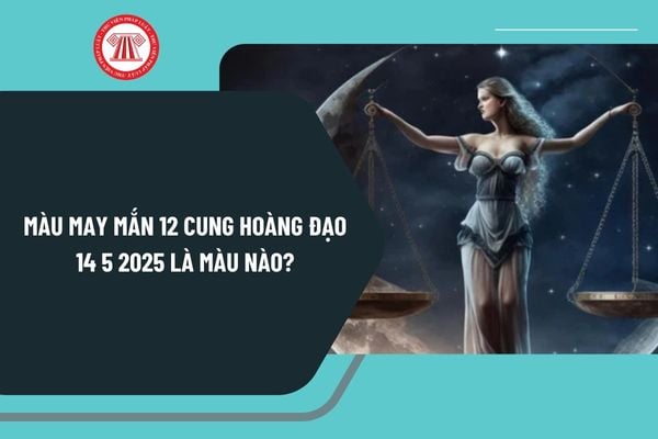 Pháp luật