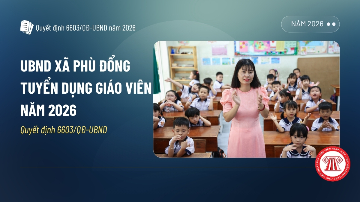 Pháp luật