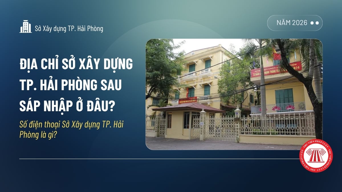 Pháp luật