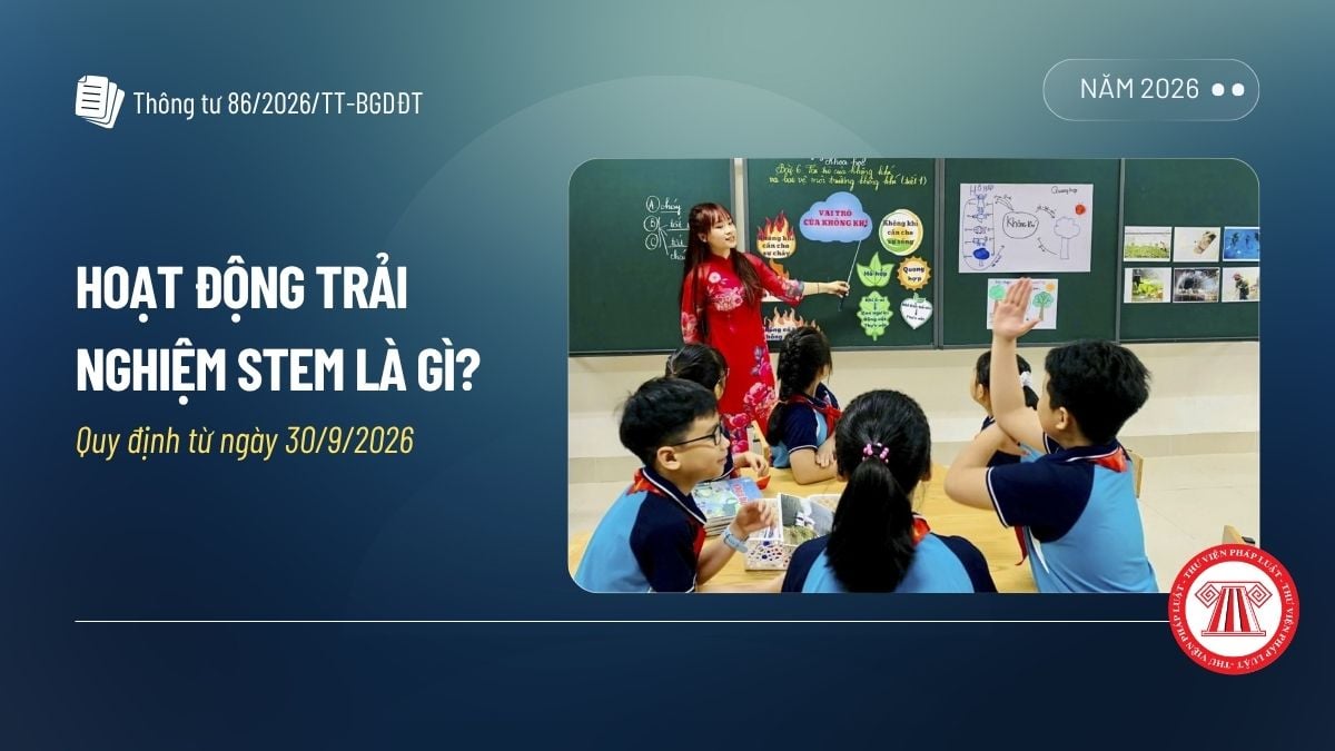 Pháp luật