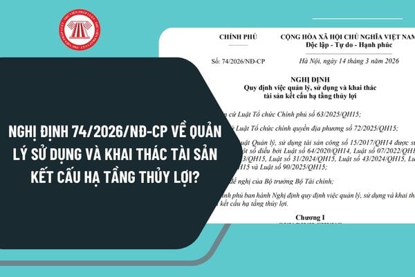Pháp luật