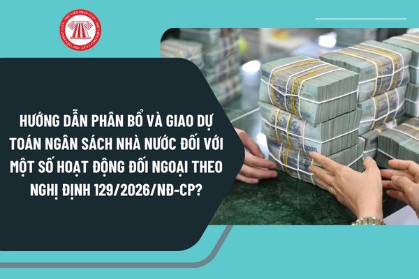 Pháp luật