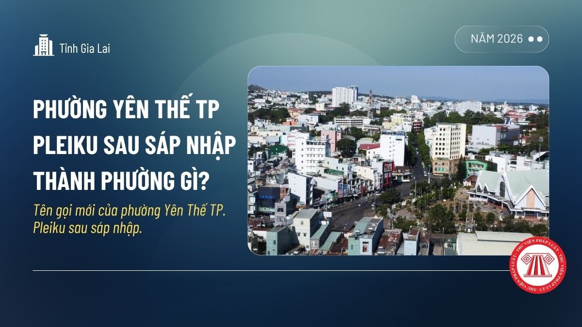 Pháp luật