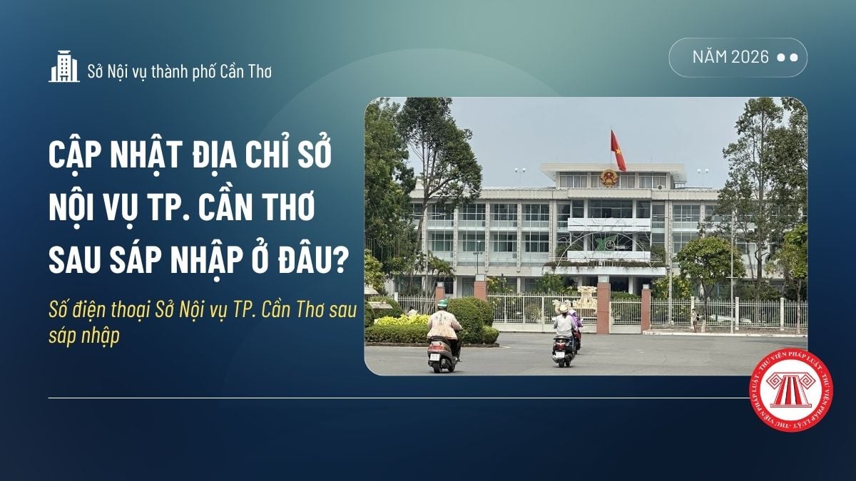 Pháp luật
