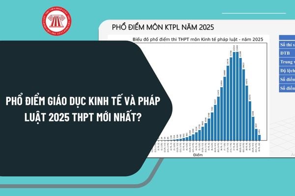 Pháp luật