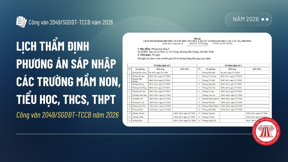 Pháp luật