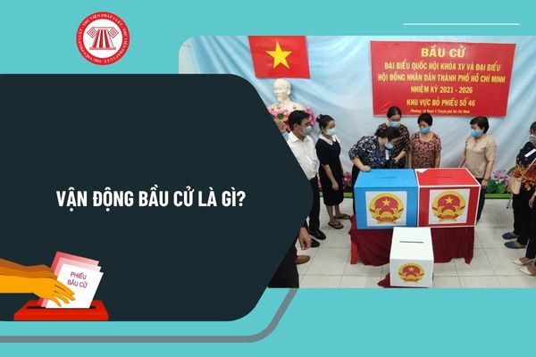 Pháp luật