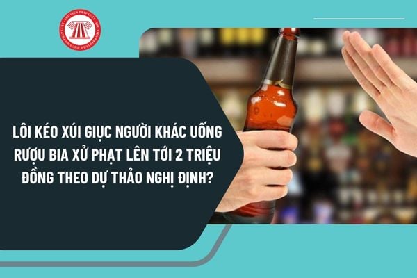 Pháp luật