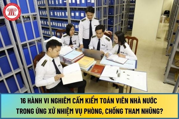 16 hành vi nghiêm cấm Kiểm toán viên nhà nước trong ứng xử nhiệm vụ phòng, chống tham nhũng và thực hành tiết kiệm, chống lãng phí ra sao?