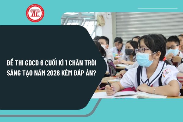 Pháp luật