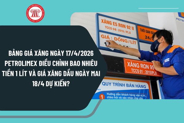 Pháp luật