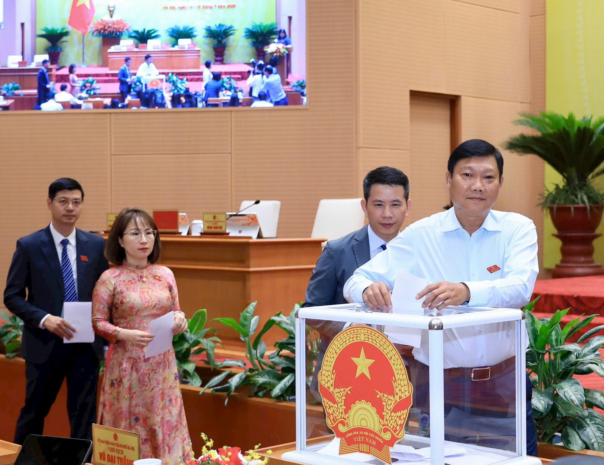 Pháp luật