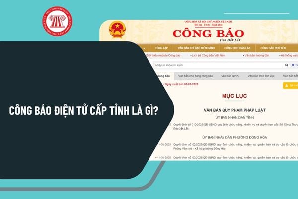 Pháp luật