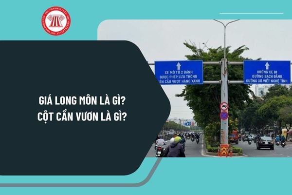 Pháp luật