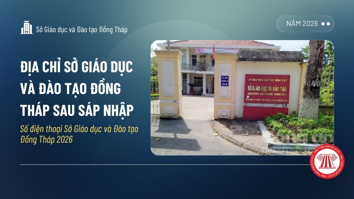 Pháp luật