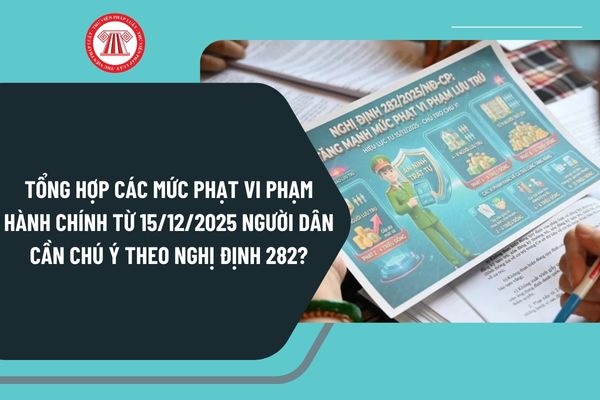 Pháp luật
