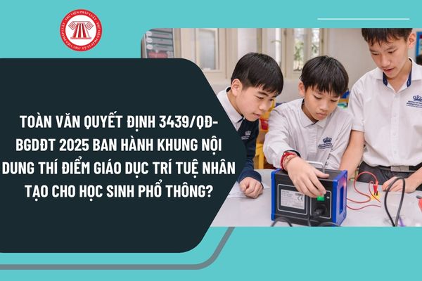 Pháp luật