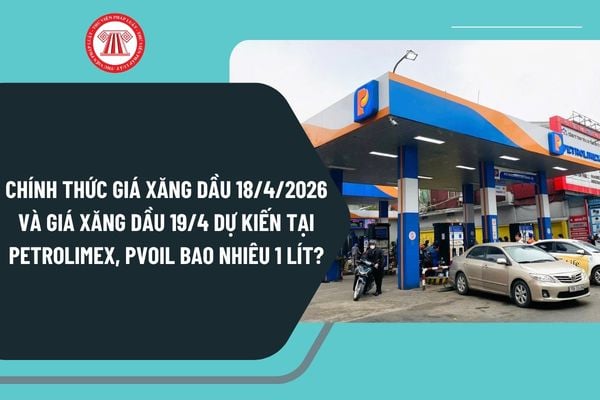 Pháp luật