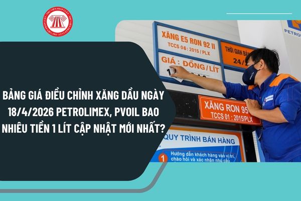 Pháp luật