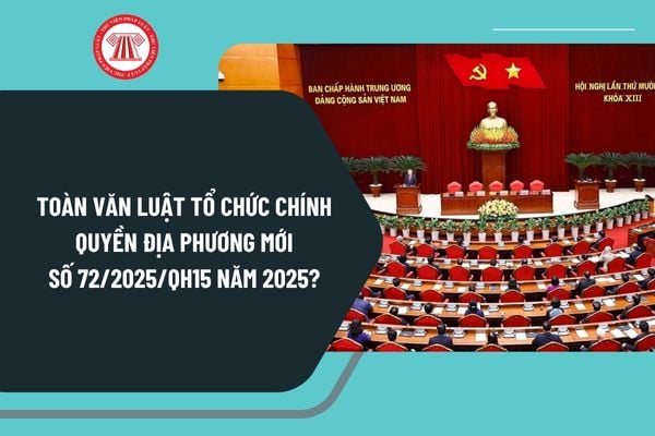 Pháp luật