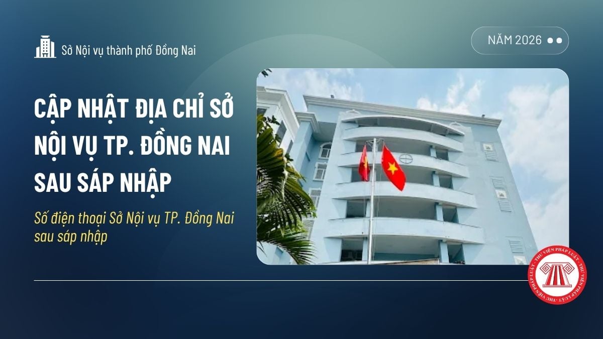 Pháp luật