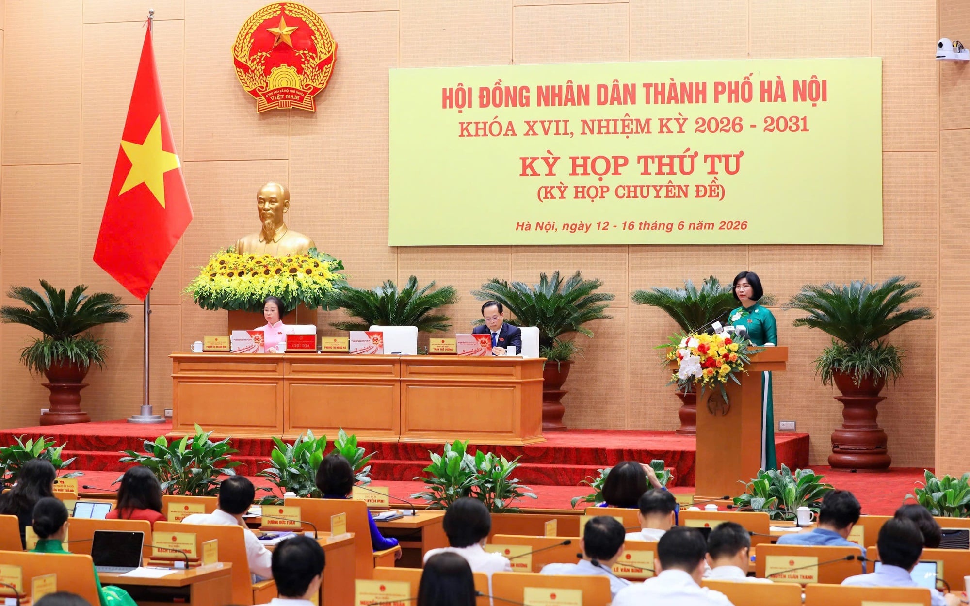 Pháp luật
