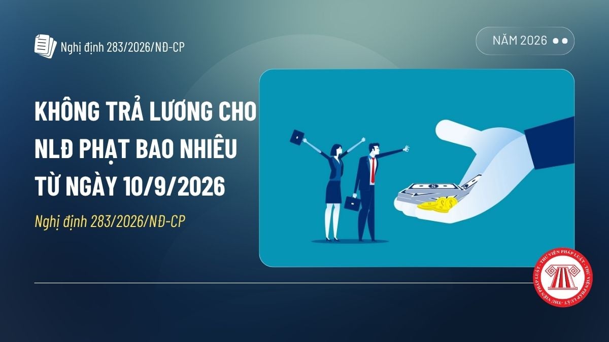 Pháp luật