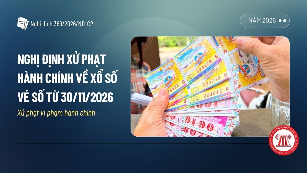 Pháp luật
