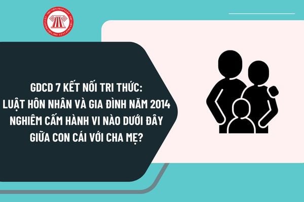 Pháp luật