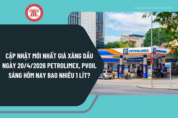Pháp luật