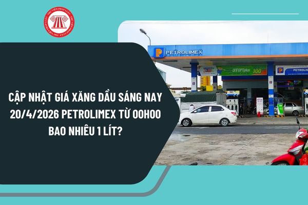 Pháp luật