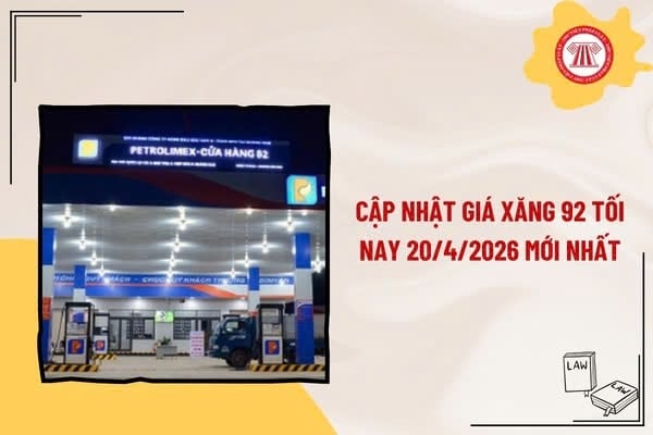 Pháp luật