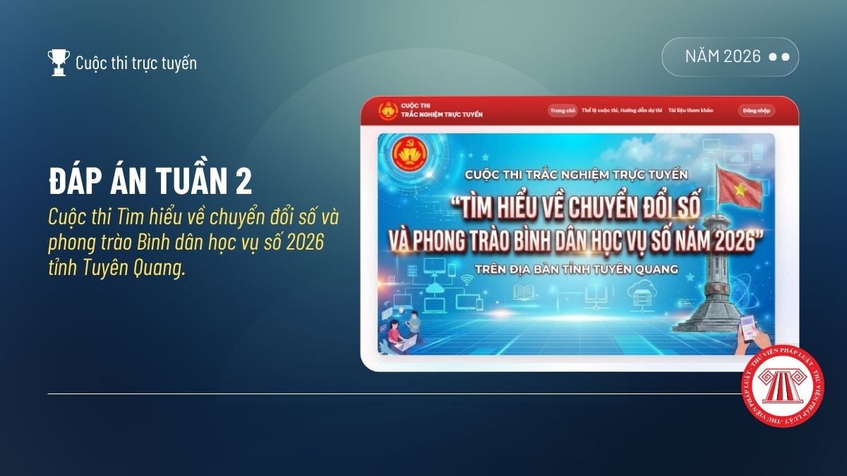 Pháp luật