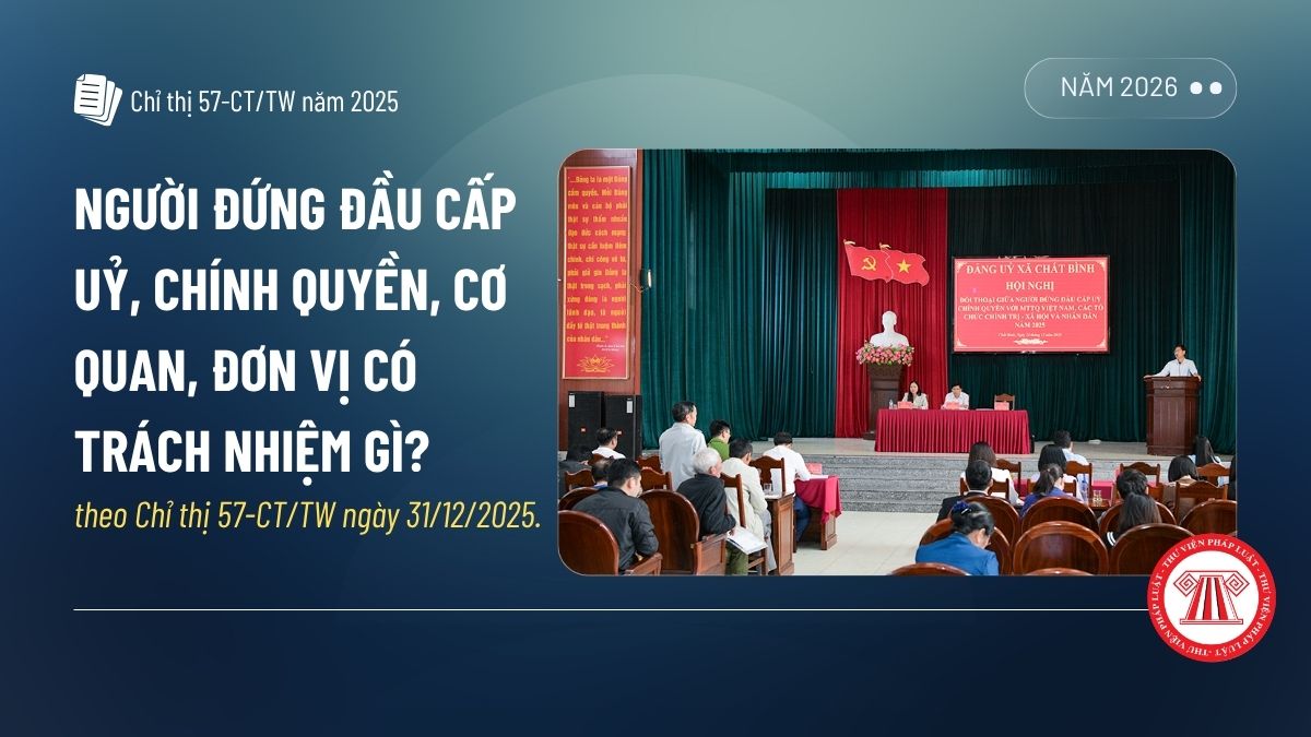 Pháp luật