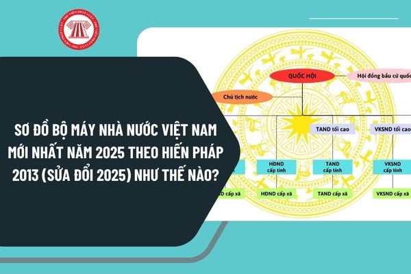 Pháp luật