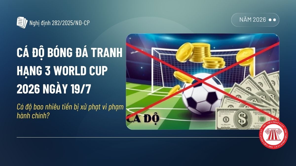 Pháp luật
