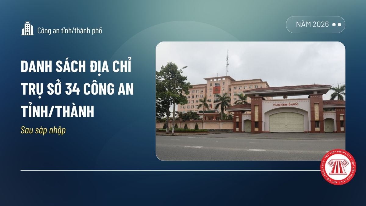 Pháp luật