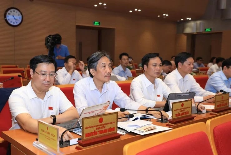 Pháp luật