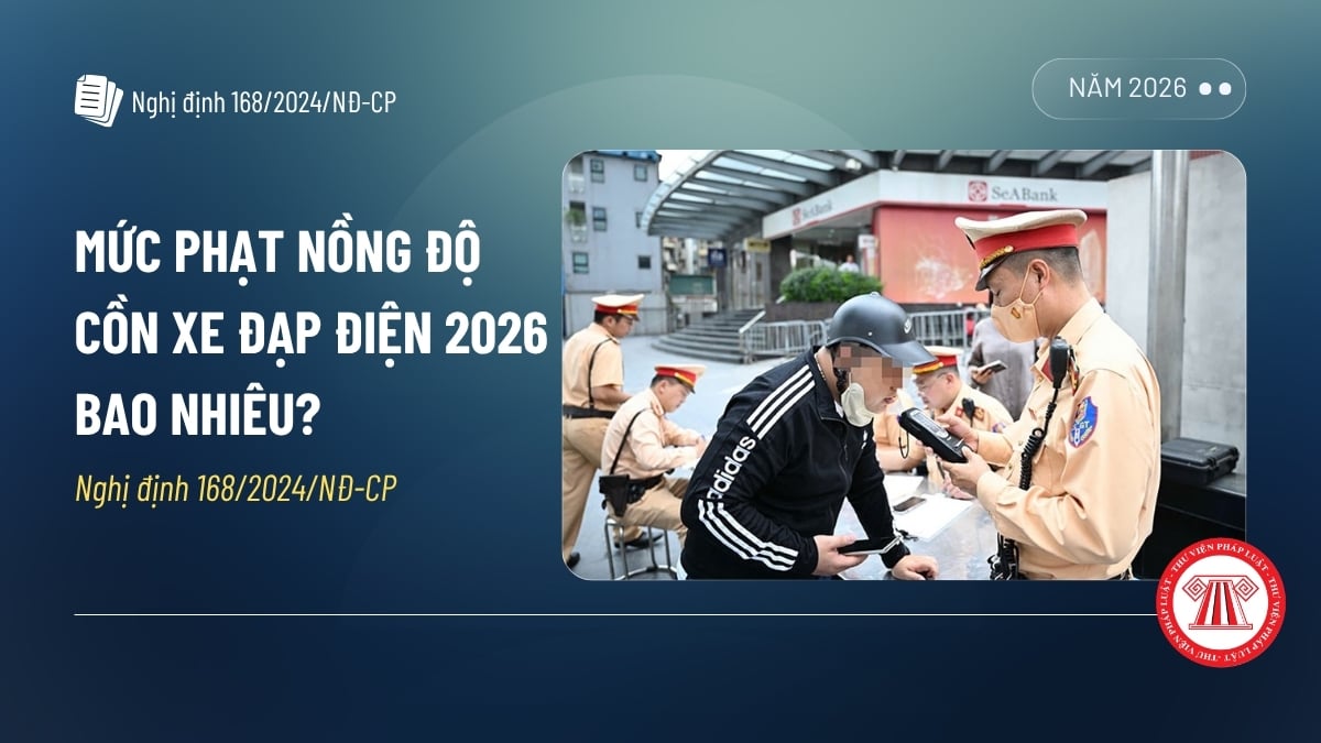 Pháp luật