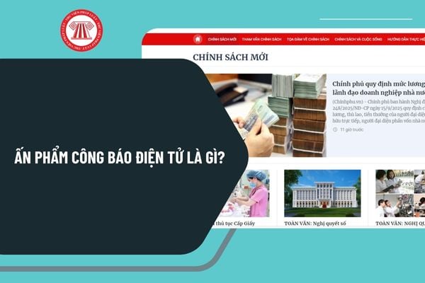 Pháp luật