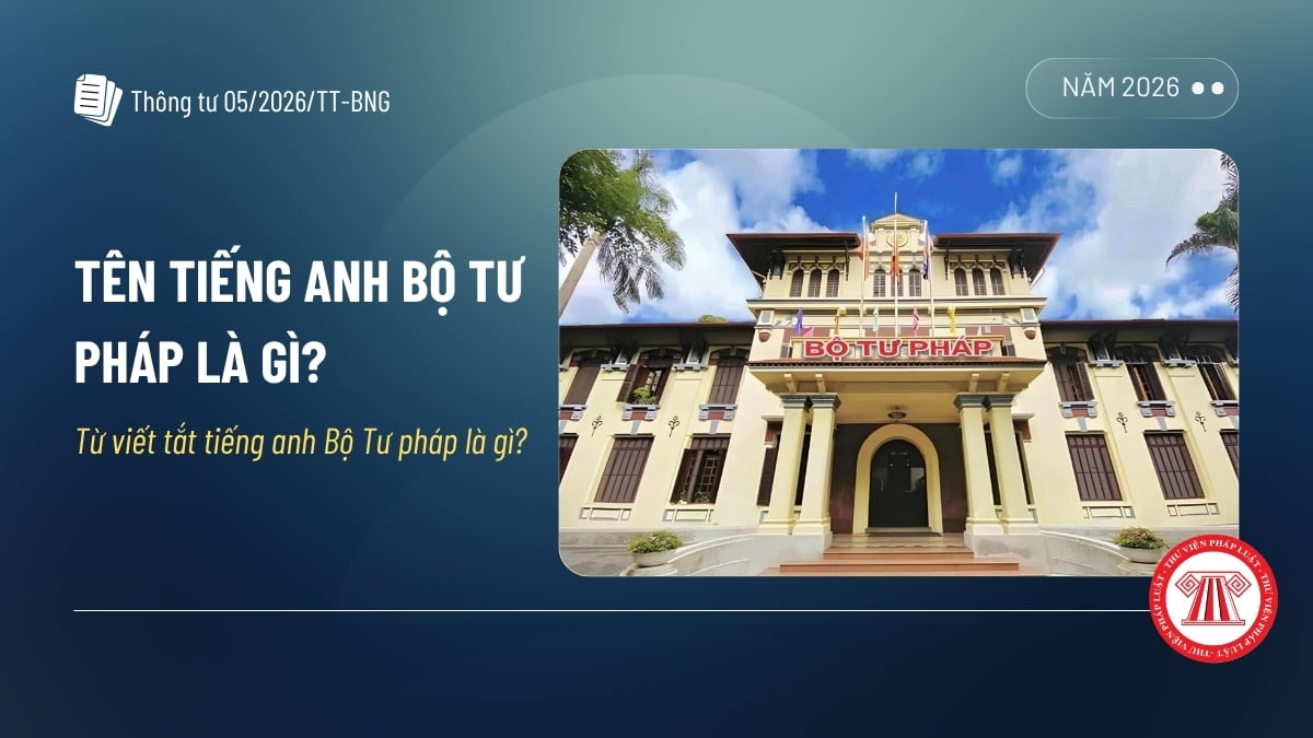 Pháp luật